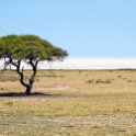 NAM OSHI Etosha 2016NOV27 071 : 2016, 2016 - African Adventures, Africa, Date, Etosha National Park, Month, Namibia, November, Oshikoto, Places, Southern, Trips, Year